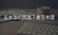 玉米怎么挑选？老玉米适合减肥