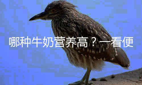 哪种牛奶营养高？一看便知