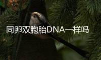 同卵双胞胎DNA一样吗？