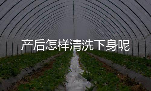 产后怎样清洗下身呢