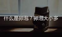 什么是卵泡？卵泡大小多少才算正常