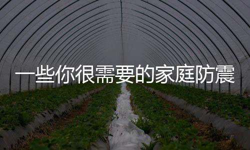 一些你很需要的家庭防震方法