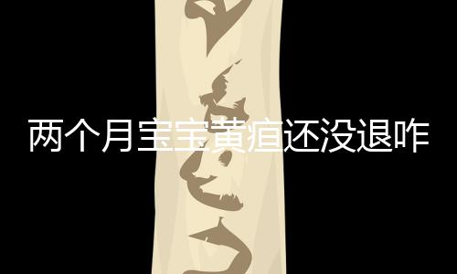 两个月宝宝黄疸还没退咋办