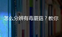 怎么分辨有毒蘑菇？教你挑蘑菇的技巧