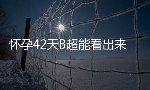 怀孕42天B超能看出来什么