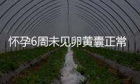 怀孕6周未见卵黄囊正常吗