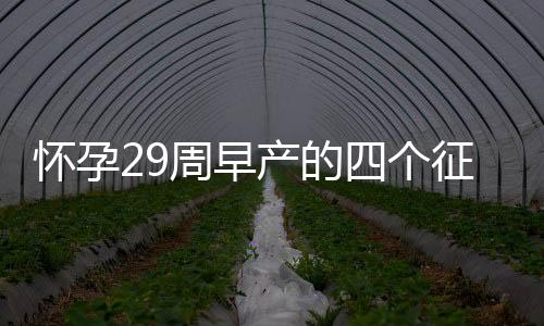 怀孕29周早产的四个征兆是什么