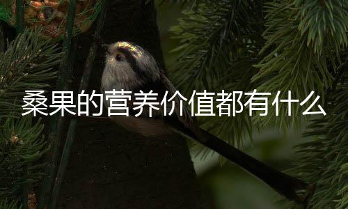 桑果的营养价值都有什么