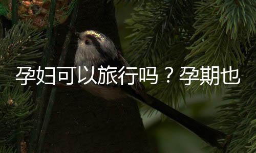 孕妇可以旅行吗？孕期也可以很文艺