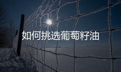 如何挑选葡萄籽油