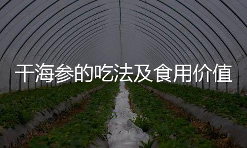 干海参的吃法及食用价值