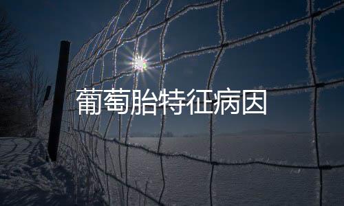 葡萄胎特征病因