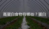 高蛋白食物有哪些？蛋白质的功效与作用